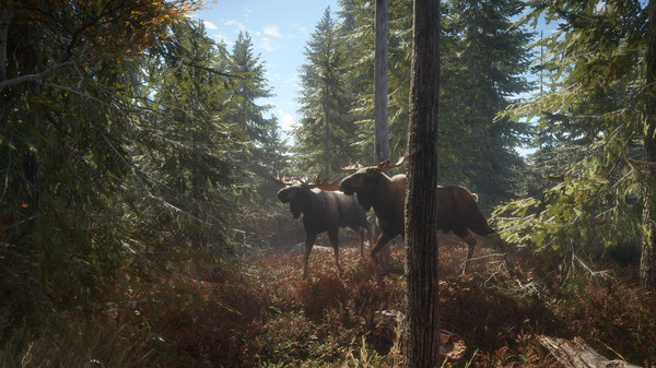 图片[5]-猎人：荒野的召唤 theHunter: Call of the Wild｜豪华中文 全 DLC 整合 含苏格兰狩猎保护区 + 荒野猎魂 + 血誓荒原 DLC 内置多功能修改器 支持手柄 解压即玩免安装-DogGame 